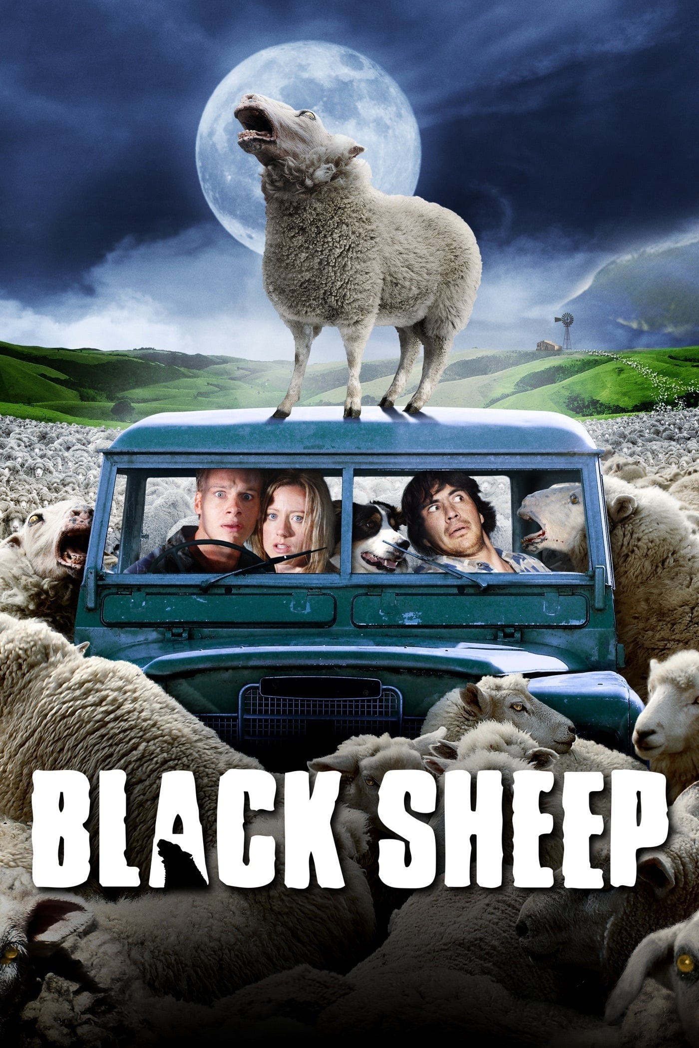 כבשה שחורה