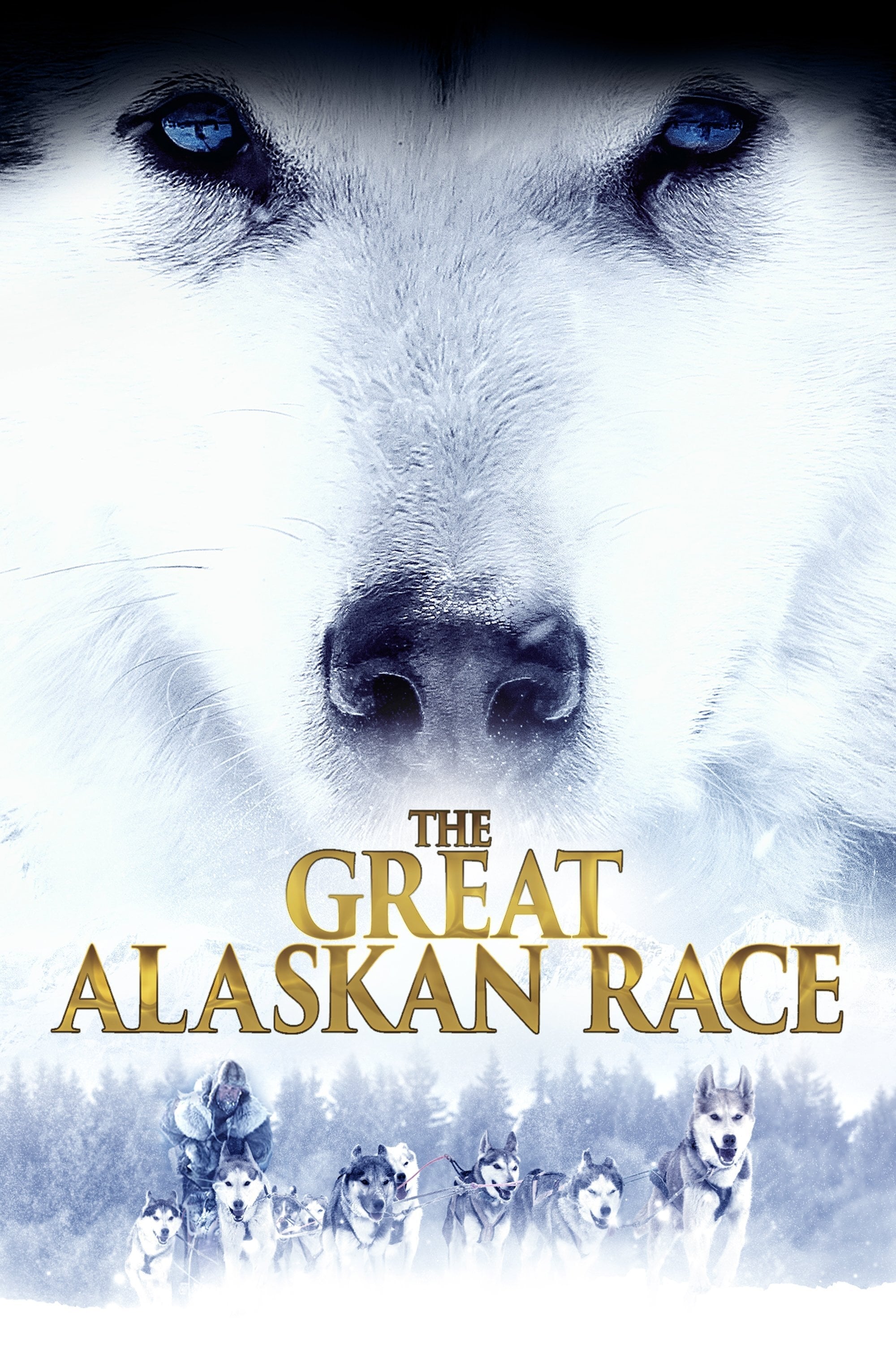 מרוץ אלסקה הגדול